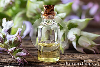 A bottle of clary sage essential oil with fresh plant Stock Photo