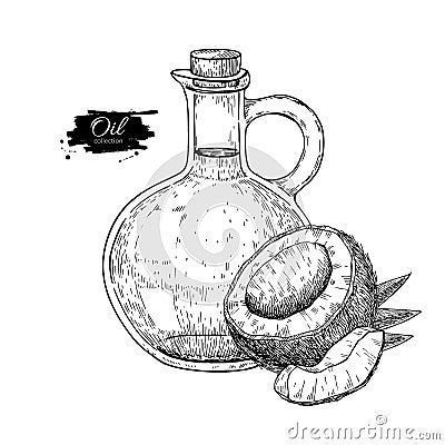 Bottle of coconut oil. Vector Hand drawn illustration. Cooking and beauty ingredient. Glass pitcher Vector Illustration