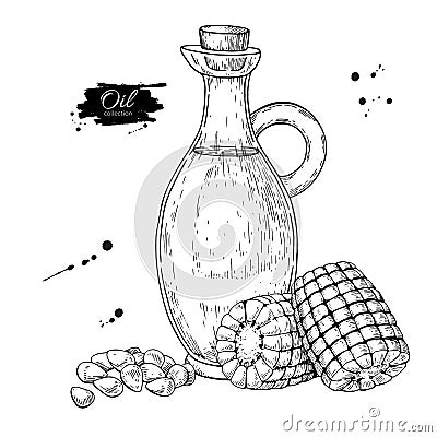 Bottle of corn cooking oil. Vector Hand drawn illustration. Glass pitcher vintage Vector Illustration