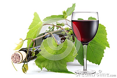 Bottle entwined with vine and glass of wine Stock Photo