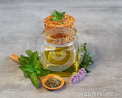 Bottle of essential mint oil, complete with fresh mint leaves, flower and dry leaves Stock Photo