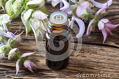 A bottle of clary sage essential oil and fresh plant Stock Photo