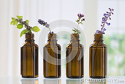 Bottle of essential oil Stock Photo