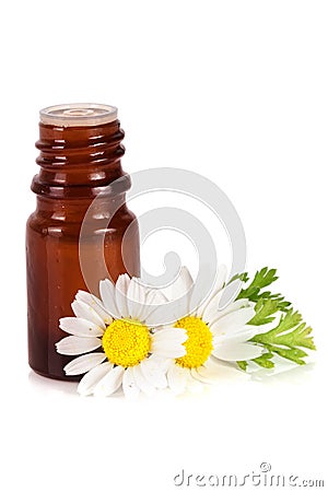 Bottle with essential oil and fresh chamomile flowers isolated on white background Stock Photo