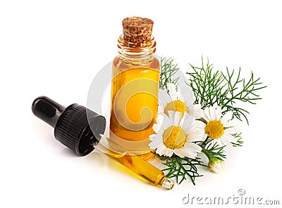 Bottle with essential oil and fresh chamomile flowers isolated on white background Stock Photo