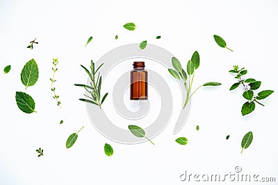 Bottle of essential oil with fresh herbal sage, rosemary, lemon Stock Photo