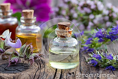 A bottle of essential oil with hyssop and clary sage Stock Photo