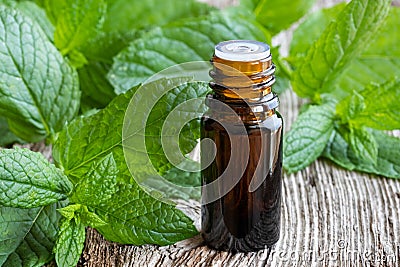 A bottle of peppermint essential oil with fresh peppermint leave Stock Photo