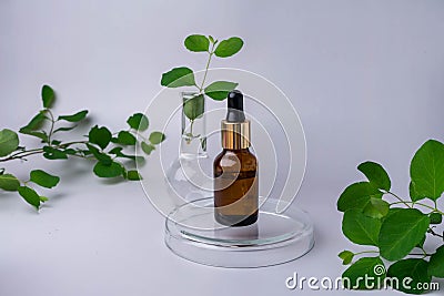 Bottle of essential oil with herb on grey background. Stock Photo