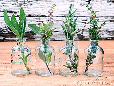 Bottle of essential oil with herbs rosemary, sage,holy basil and Stock Photo