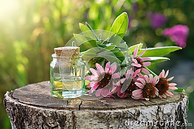 Bottle of essential oil or infusion, coneflowers and sage plants on stump outdoors. Stock Photo