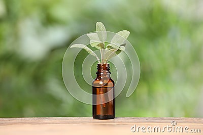 Bottle with essential oil and sage on wooden table against blurred green background Stock Photo