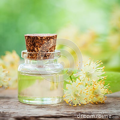Bottle of essential oil and yellow lime flowers. Stock Photo