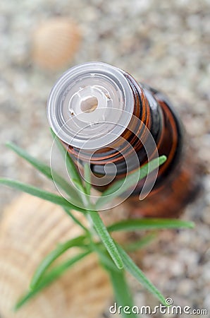Bottle of essential rosemary oil. Bottle dropper tip insert close up. Stock Photo
