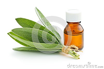 Bottle of essential sage oil. Stock Photo