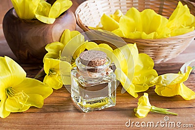 A bottle of evening primrose oil with fresh evening primrose Stock Photo
