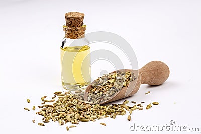 A bottle of fennel essential oil with fresh green fennel twigs and fennel seeds in the background Stock Photo