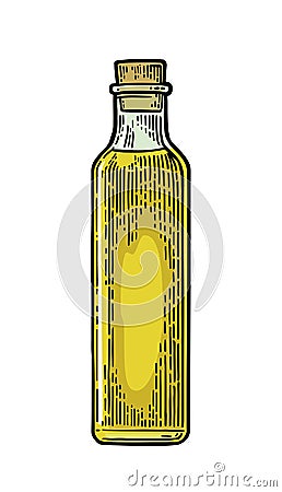 Bottle glass of liquid with cork stopper. Olive oil. Hand Vector Illustration