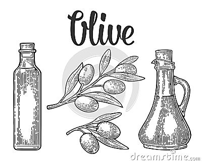 Bottle glass of Olive oil with cork stopper and branch with leaves Vector Illustration