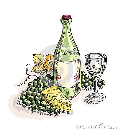 Bottle and glass of wine, grapes cheese isolated on white Vector Illustration