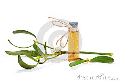 A bottle of herbal tincture with fresh mistletoe twigs Stock Photo