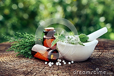 Bottle of homeopathic globules, mortar of green nettle and mint leaves, juniper twigs. Homeopathy medicine remedies. Stock Photo