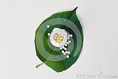 Bottle with homeopathic pills on green plant leaf. Homeopathy, naturopathy and alternative herbal medicine Stock Photo
