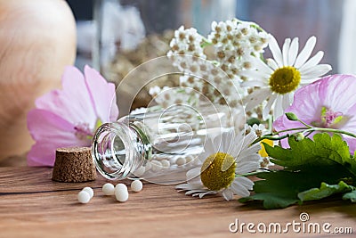 A bottle of homeopathic remedies with chamomile and other flower Stock Photo