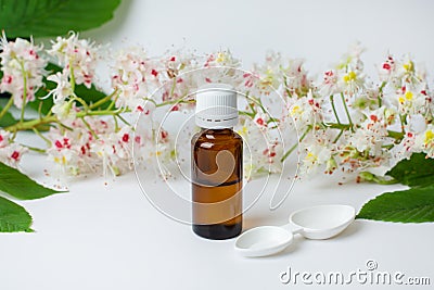 Bottle of horse chestnut extract, essence of chestnut flowers. Flowering branches and leaves of horse chestnut Stock Photo