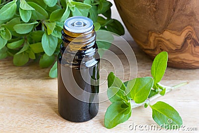 A bottle of marjoram essential oil with fresh marjoram twigs Stock Photo