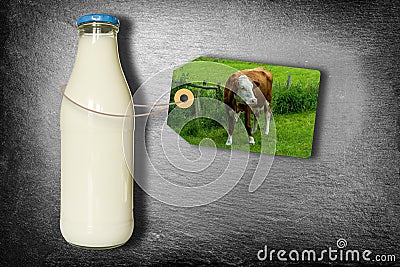 Bottle Of Milk With Label - Dairy Cow On Meadow - Isolated On Slate Stock Photo