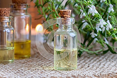 A bottle of mountain savory essential oil with fresh Satureja mo Stock Photo