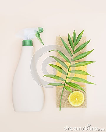 A bottle of natural detergent for windows and glass surfaces, sponges for washing and slice of lemon Stock Photo