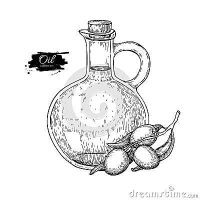 Bottle of olive oil and olive branch. Vector Hand drawn illustration. Glass pitcher vintage Vector Illustration