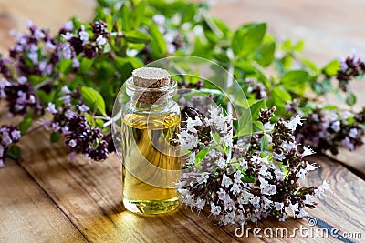 A bottle of oregano essential oil with blooming oregano Stock Photo