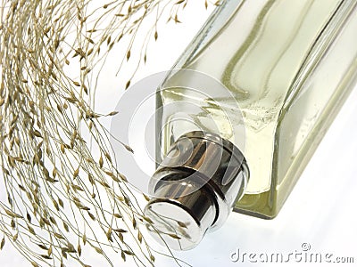 Bottle of perfume Stock Photo