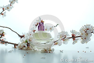 Bottle of perfume with apricot blossom Stock Photo