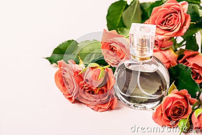 Bottle of perfume on the background of a bouquet of coral roses Stock Photo