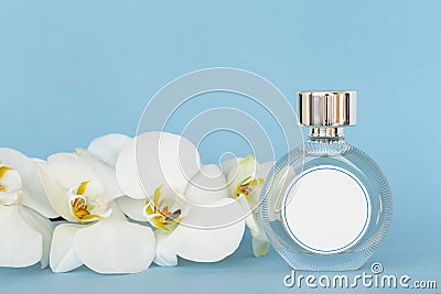 Bottle of perfume with flowers orchids on pastel blue background. Stock Photo