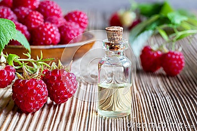 A bottle of raspberry seed oil with fresh raspberries Stock Photo