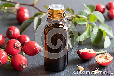 A bottle of rose hip seed oil on a gray background Stock Photo