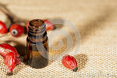 Bottle of rosehip oil on rustic background with copy space for text, wellness and healthcare concept Stock Photo