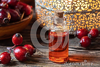 A bottle of rosehip seed oil with dried rosehips Stock Photo