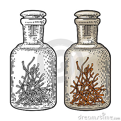 Bottle with saffron dry threads. Vintage vector engraving illustration. Isolated Vector Illustration