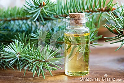 A bottle of spruce essential oil with fresh spruce twigs Stock Photo