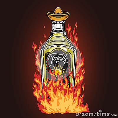 Bottle tequila colorful detailed poster Vector Illustration