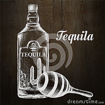 Bottle of tequila with lime and glass. painted by hand Vector Illustration