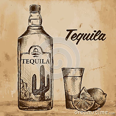 Bottle of tequila with lime and glass. painted by hand Vector Illustration