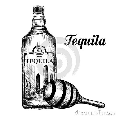 Bottle of tequila with lime and glass. painted by hand Vector Illustration