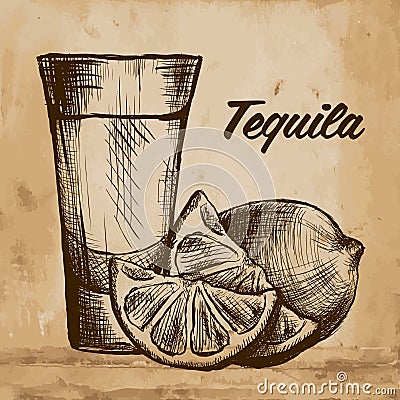 Bottle of tequila with lime and glass. painted by hand Vector Illustration